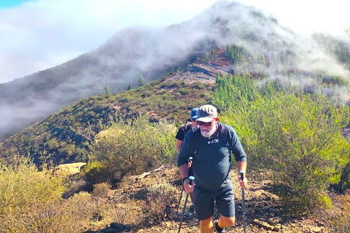 Tenerife Caminhada em Enchanted Forest Above Masca com PICKUP