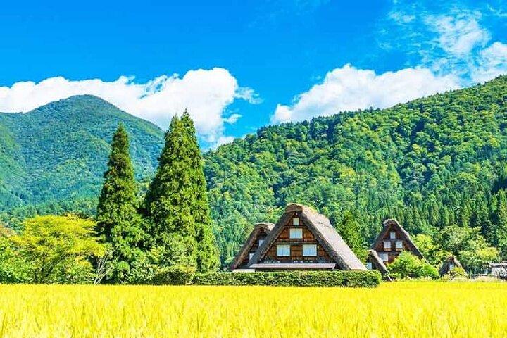 Excursion d'une journée dans le village de Gassho au départ de Nagoya