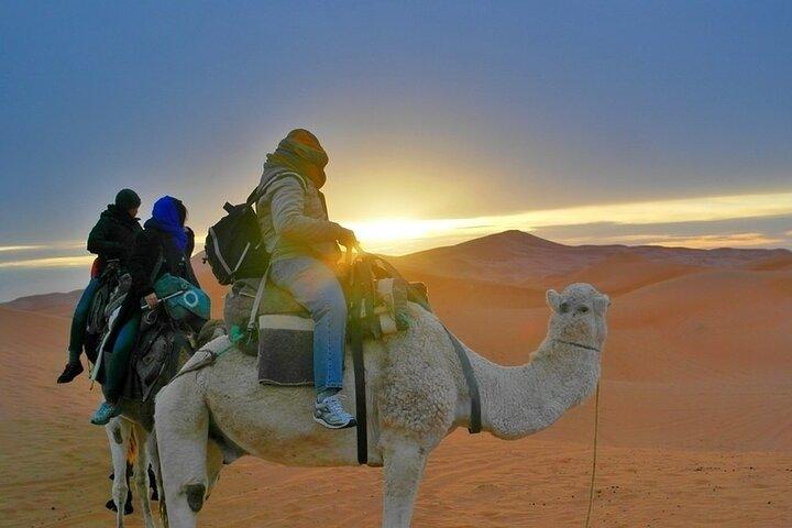 4 Days Trip from Marrakech to Fes via Merzouga With Camel Ride