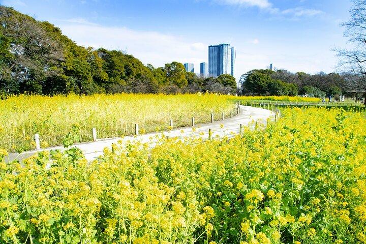 Hama-rikyu Gardens Walking Tour with Matcha& Japanese Sweets