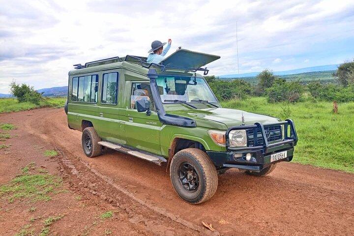Safari de 1 día en el Parque Nacional Akagera