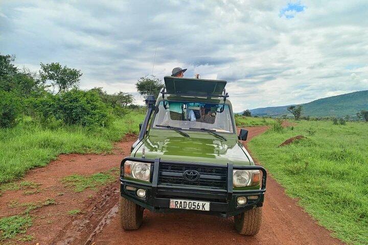 Safari de 1 día en el Parque Nacional Akagera