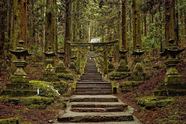九州上白見神社・天岩戸・高千穂峡ツアー
