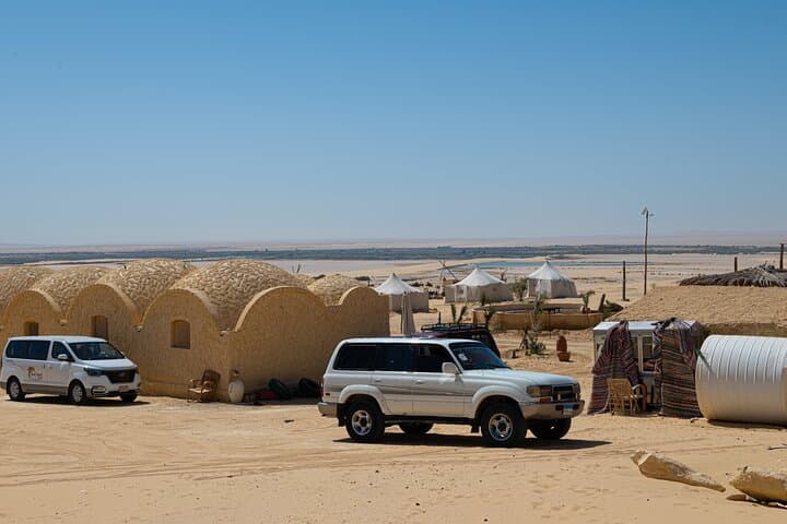Fayoum Oasis Safari with Valley of Whales & Traditional Lunch