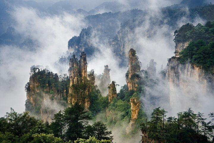 Fuld dag Zhangjiajie Forest Park Private Avatar Tour VIP valgfri