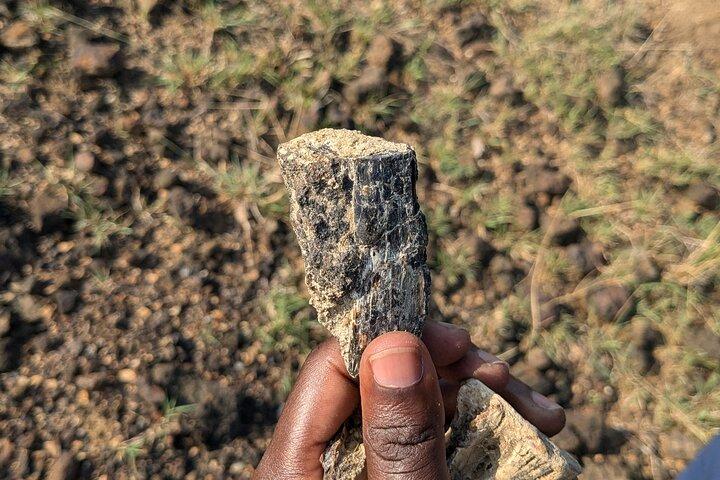 Bird Watching Safari, Fossil Hunting og Bush Dinner i naturen