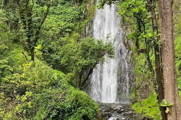 Materuni Waterfalls & Coffee Tour avec sources chaudes en option