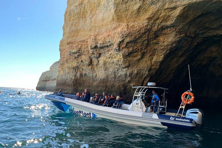 Benagil and Dolphin Watching Boat Tour with Marine Biologists