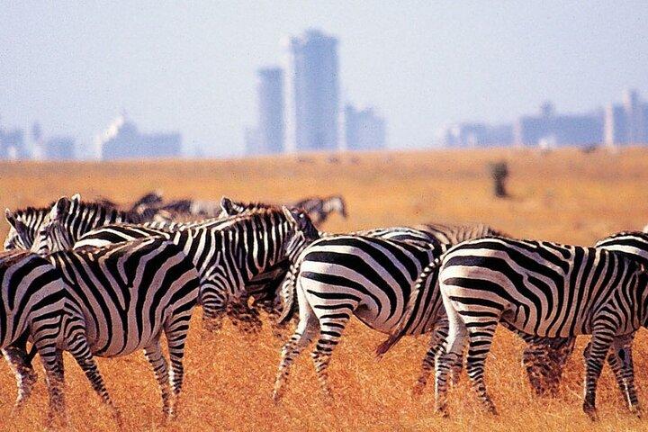 Privat halvdagstur i Nairobi National Park: Gratis WiFi-forbindelse