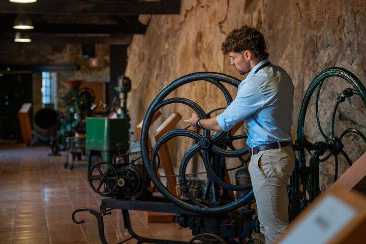 Porto Heldagstur med stadsrundtur Vinprovning och Six Bridges Cruise