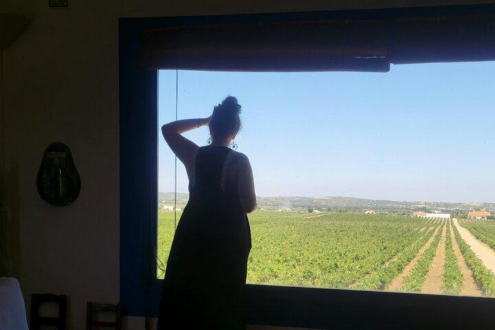 Lisbon to Evora: Cork Factory Visit and Wine Tour + hotel pick-up