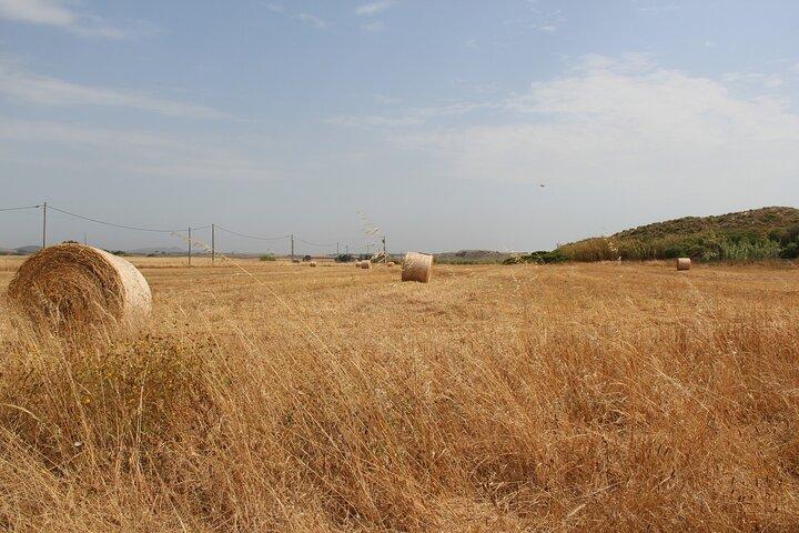 Lisbon to Evora: Cork Factory Visit and Wine Tour + hotel pick-up