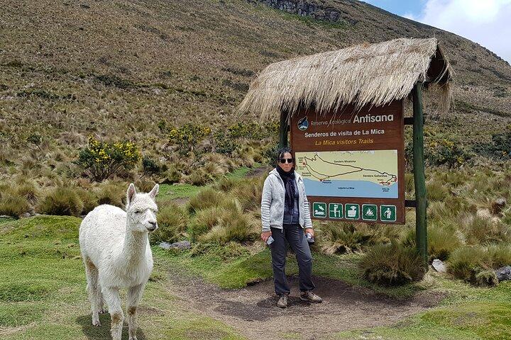 Tour Antisana Cóndor desde Quito
