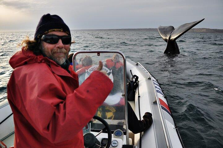 3-dagars Puerto Madryn: Halvö Valdes (valskådning som tillval)