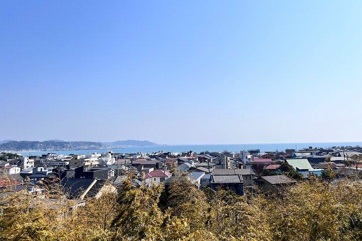 Kamakura and Enoshima Tour with Vehicle and Guide