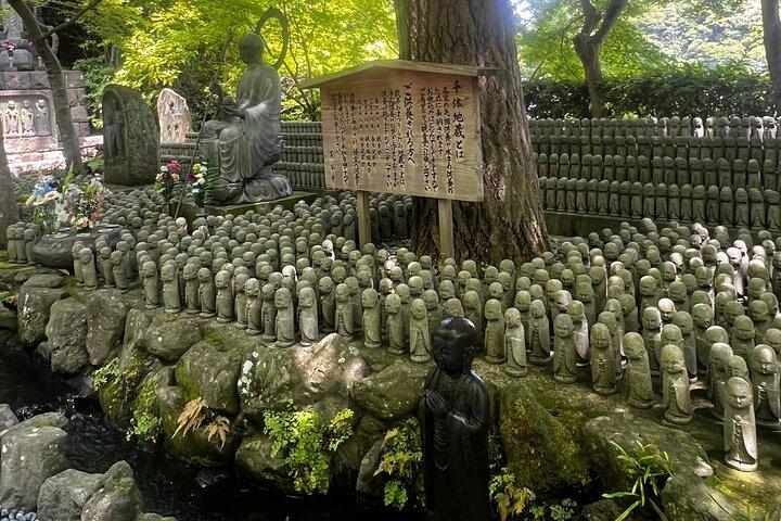 Kamakura and Enoshima Tour with Vehicle and Guide