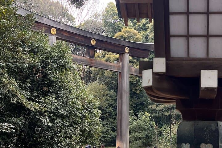 English-speaking guided day tour of Tokyo with a private vehicle