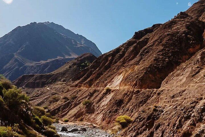 Puno: 2 Dag naar Colca Canyon vanuit Puno