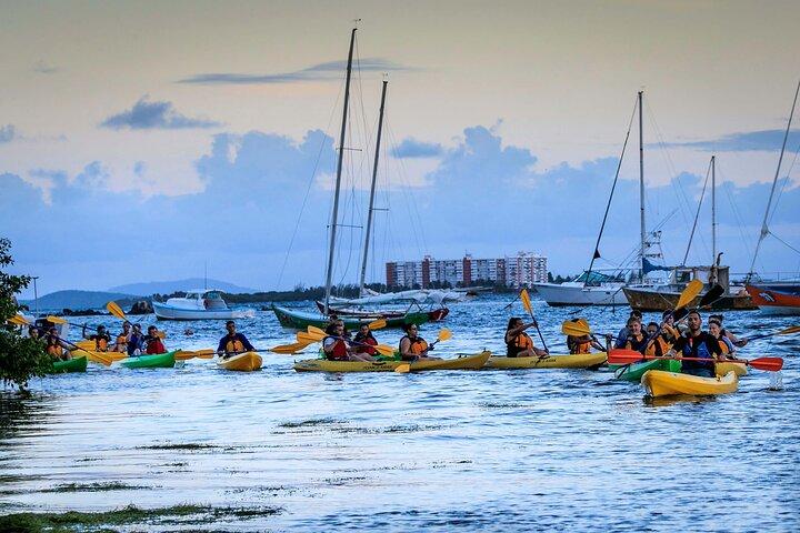 Laguna Grande Noche Kayak Bio Bay y Transporte