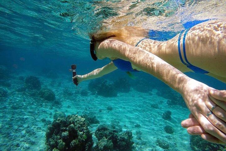 Excursão privada de meio dia Ras Mohamed - Sharm El Sheikh