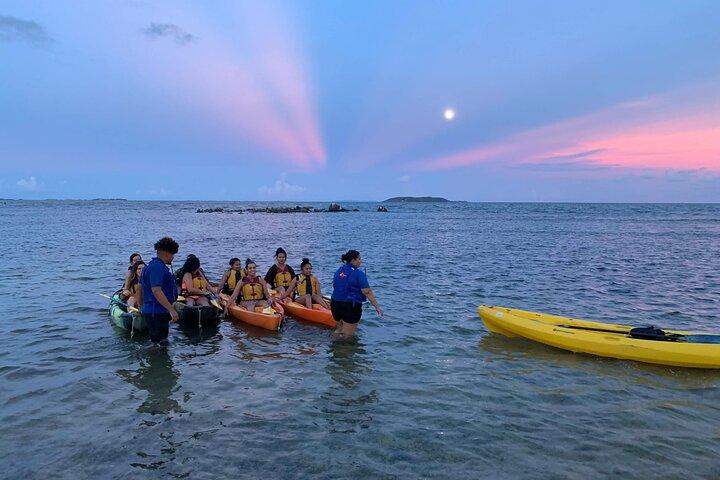 Laguna Grande Bio Bay Experience Pickup Transportation