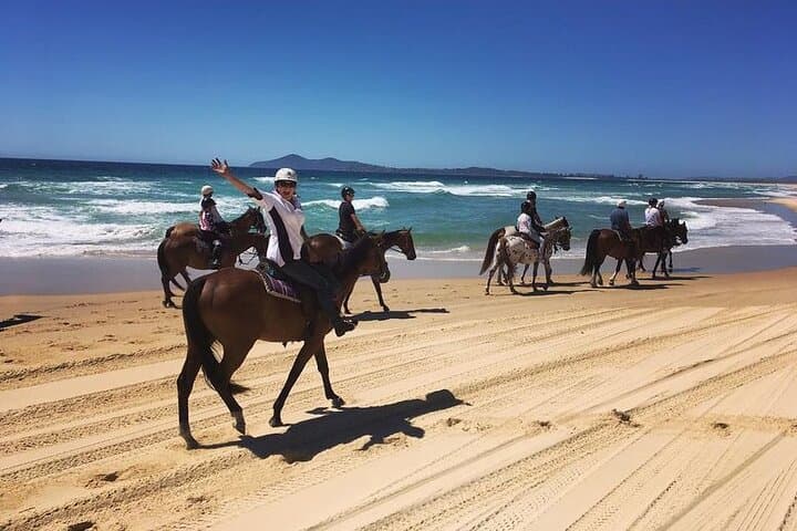 Beach Horse Riding Dubai with Transfers
