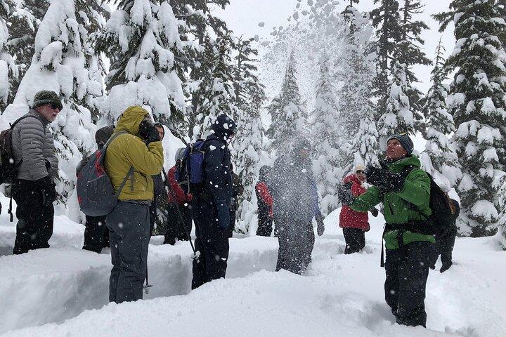 Visita guiada con raquetas de nieve en Bend, Oregón