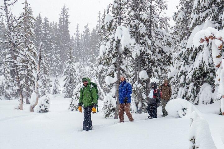 Visita guiada con raquetas de nieve en Bend, Oregón