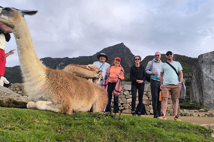 Tagesausflug nach Machu Picchu von Cusco