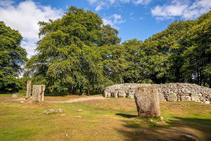 Da Inverness: Castello di Cawdor, Cairngorms e Highland Coos
