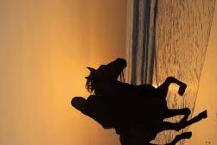 Taghazout Sunset Horse Riding On The Beach
