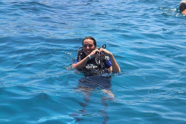 Sharm El-Sheikh : Ras Mohamed & White Island シュノーケリングトリップ