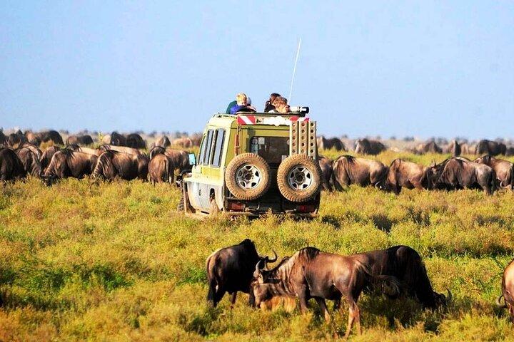 3 Days 2 Nights Masai Mara Standard Safari