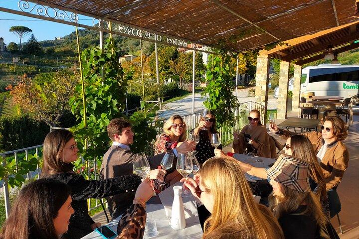 Déjeuner léger et dégustation de vins sur les collines de Lucques en compagnie d'un sommelier