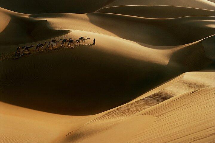 Dubai Pomeriggio 4Hrs Red Dunes Safari Private4x4Jeep Camel Sunset