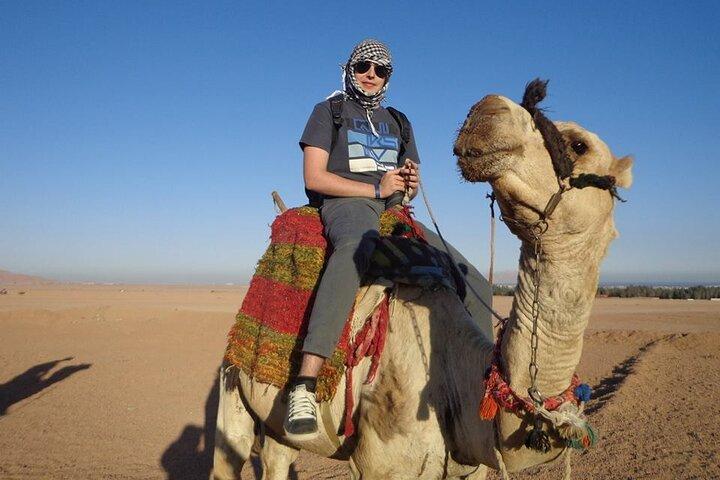 Adventure Kamelridning i vidunderlig ørken en time - Hurghada