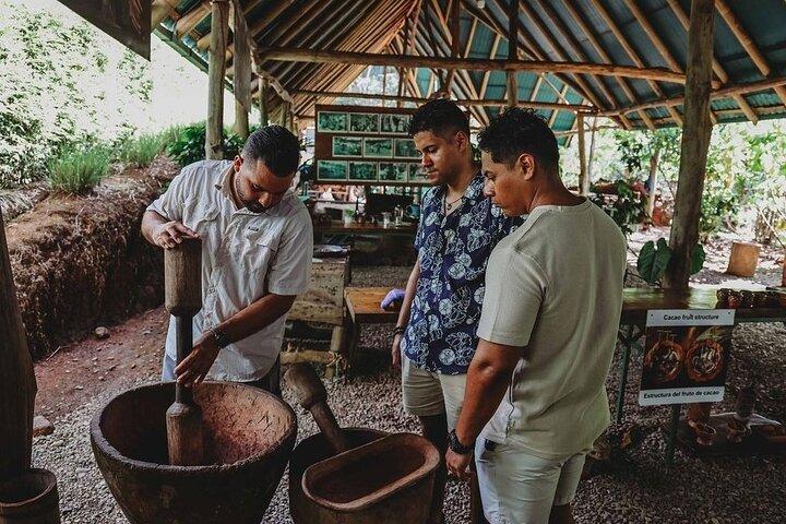 Chocolate Tour Premium : pranzo e trasporto