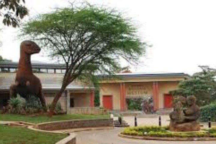 Halber Tag zum Nairobi Nationalmuseum und Schlangenpark