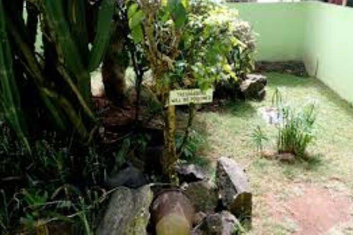 Halber Tag zum Nairobi Nationalmuseum und Schlangenpark