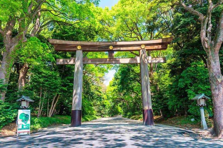 Tour privado personalizado de Tokio (debe ver lugares en 1 día)