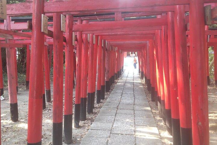龍華寺お茶会館 夢テラス箕輪稲荷神社 /V-G