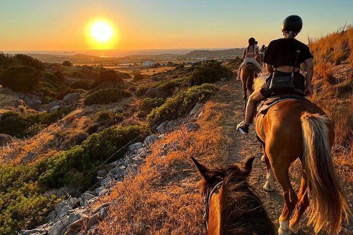 Gouden uur galop: Avondrit in Paros