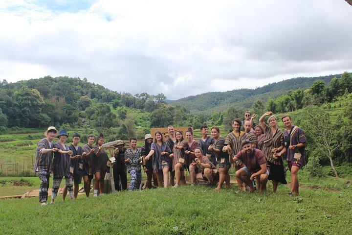 Chiang Mai Ethical Watching Elephant Sanctuary Tour