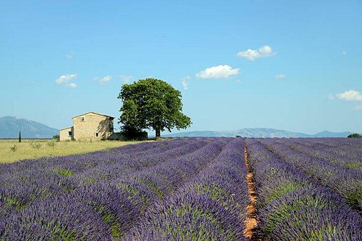 Førsteklasses tur MARSEILLE, AIX EN PROVENCE, CASSIS