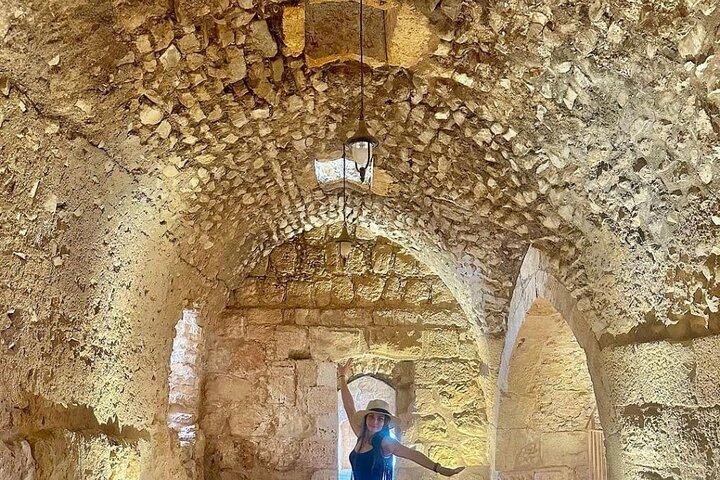 Visita guiada privada a Jerash y Ajloun