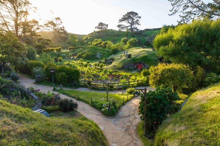 Hobbiton & Waitomo Caves Guided Day Trip from Auckland incl lunch