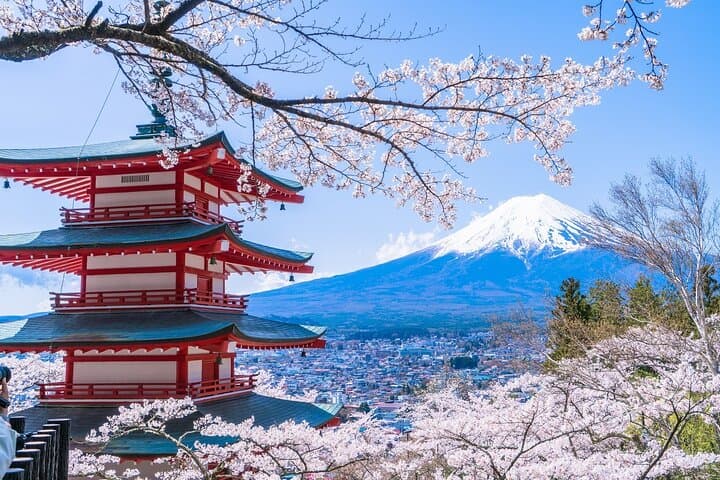From Tokyo: Top 5 Scenic Spots of Mount Fuji Full-Day Tour