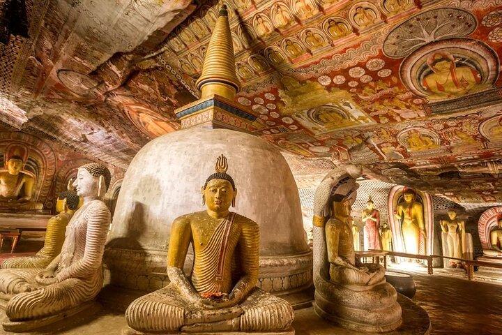 Udflugt til Dambulla Cave, Sigiriya og Pidurangala Rock fra Kandy