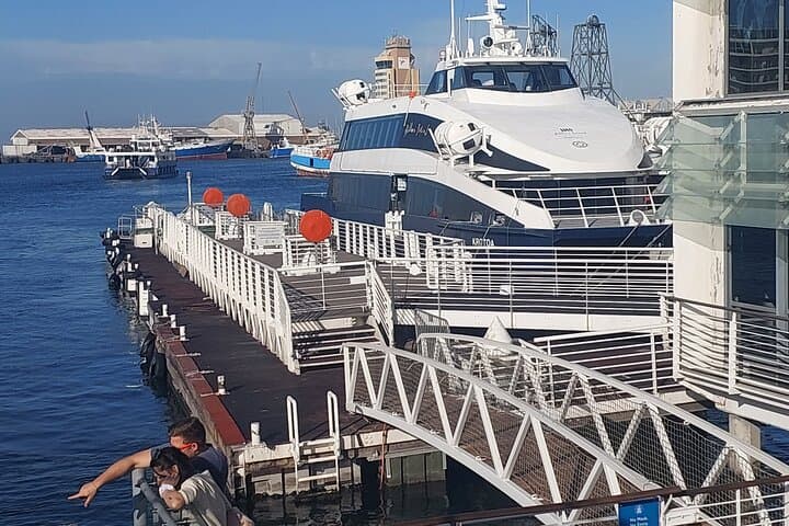 Table Mountain and Robben Island Tour, Hotel Pickup included