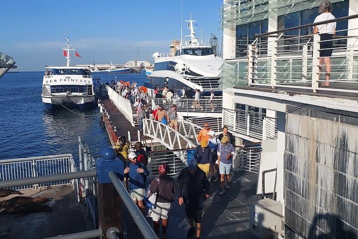 Table Mountain and Robben Island Tour, Hotel Pickup included